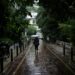 Rainfall in Athens, June 17, 2018 / Βροχόπτωση στην Αθήνα, 17 Ιουνίου, 2018