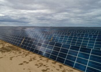 Limondale Solar Power Plant 2022