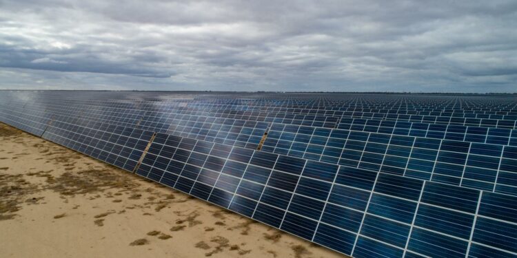 Limondale Solar Power Plant 2022