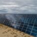 Limondale Solar Power Plant 2022