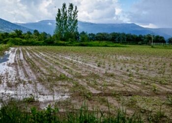 Μεγάλες καταστροφές και πλημμυρικά φαινόμενα στη Καστοριά.  Σάββατο 17 Ιουνίου 2023  (ΑΝΤΩΝΗΣ ΠΑΡΑΡΑΣ / EUROKINISSI)