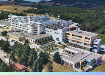 Το κείμενο της παραγράφου σας - 2