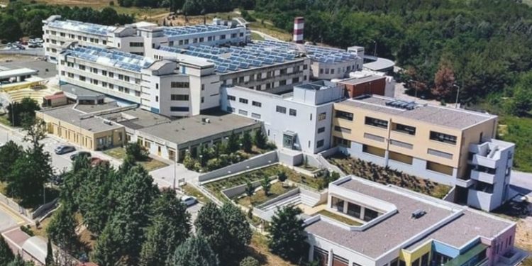Το κείμενο της παραγράφου σας - 2