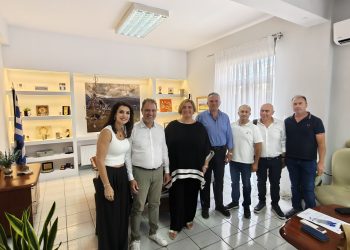 oplus_141557792